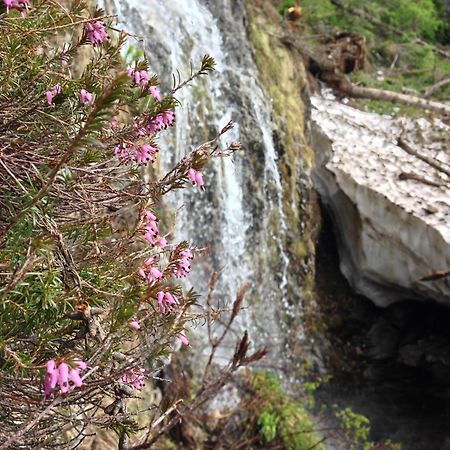 Rifugio Capanna Bill Otel Rocca Pietore Dış mekan fotoğraf