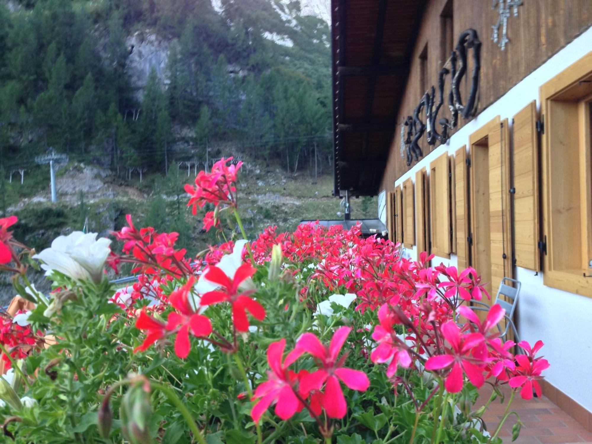 Rifugio Capanna Bill Otel Rocca Pietore Dış mekan fotoğraf